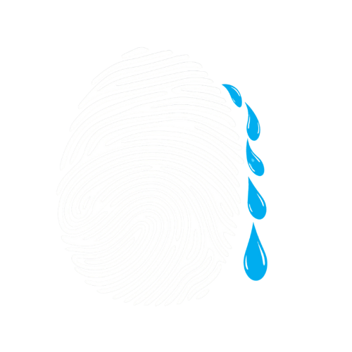 Bluethumb Landscape logo